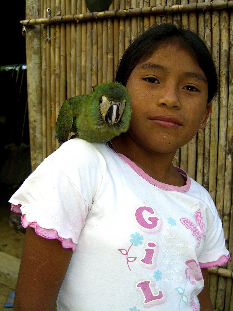 Jagubal - girl with lorito