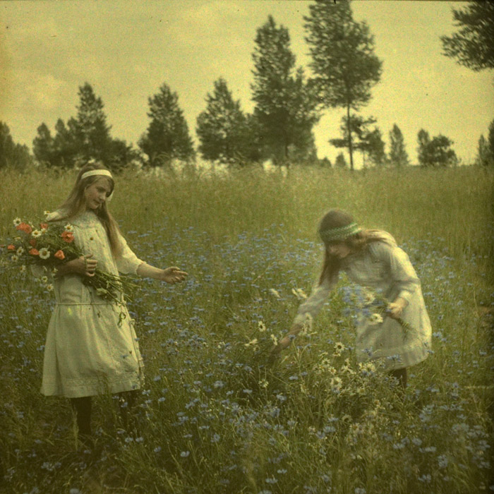 Alfonse Van Besten - Deux filles cueillant des fleurs