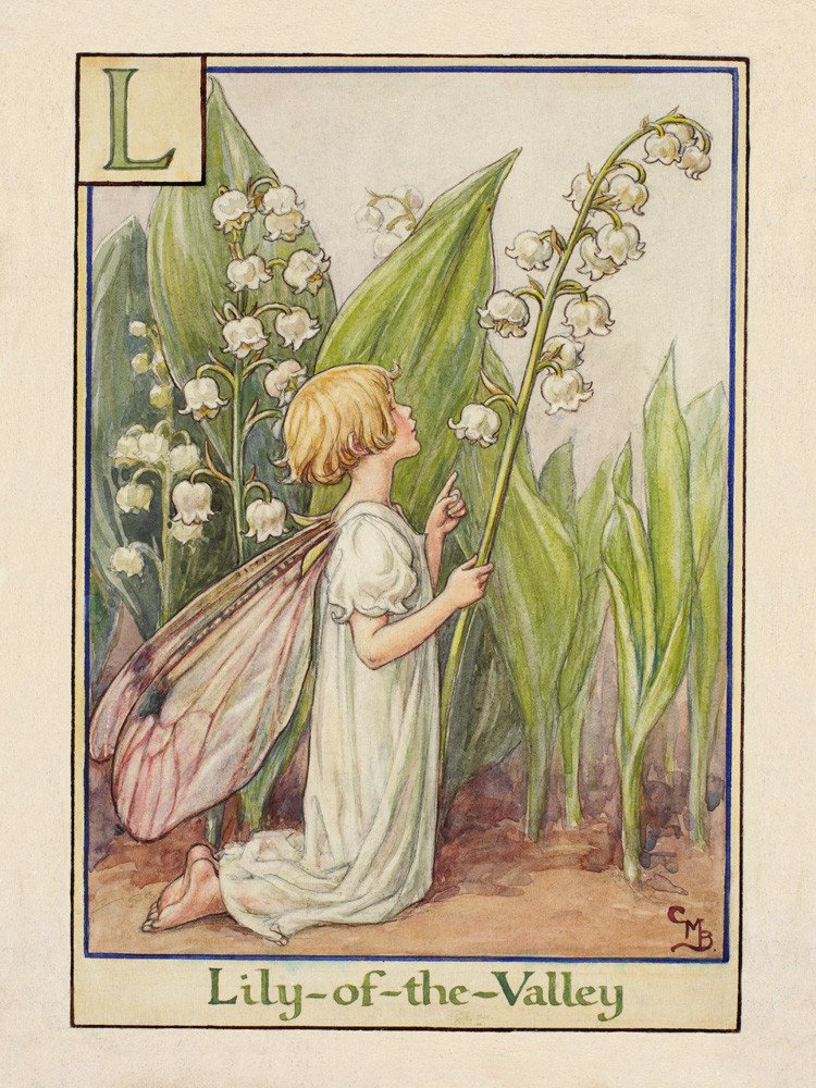 Cicely Mary Barker - Lily of the Valley