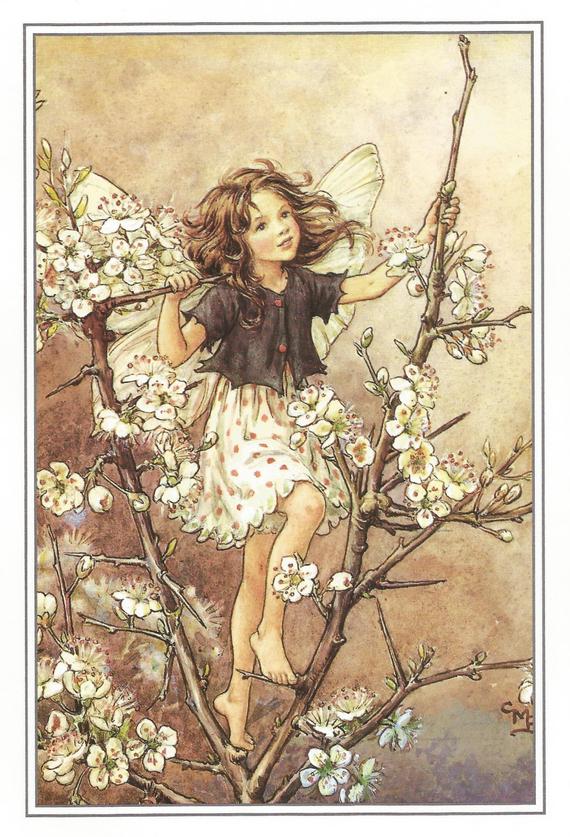 Cicely Mary Barker - The Blackthorn Fairy